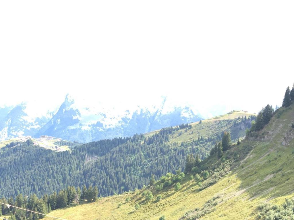 Lucada Les Carroz公寓 外观 照片